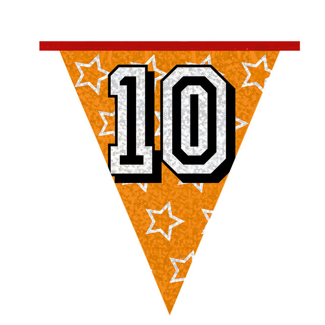 Ghirlande 10 Anni Glitter 8m