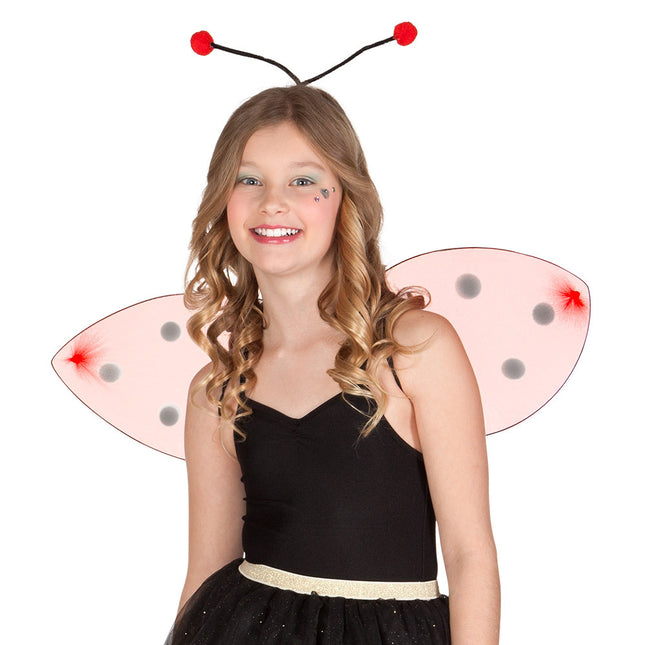 Ali di coccinella 2 pezzi
