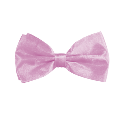 Papillon rosa