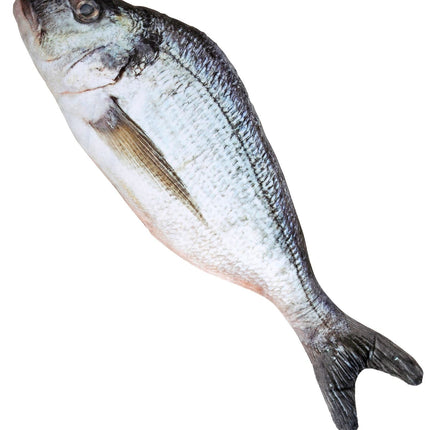 Pesce finto grigio 55 cm