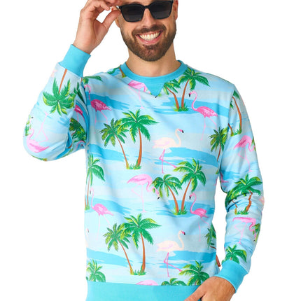 Maglione Hawaii Flamingo Uomo <tc>OppoSuits</tc>