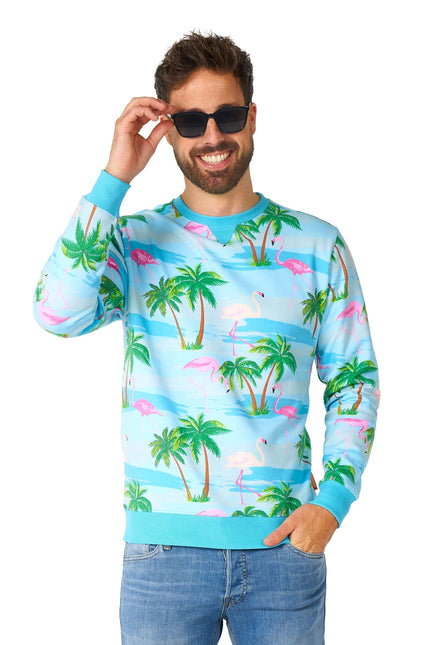 Maglione Hawaii Flamingo Uomo <tc>OppoSuits</tc>