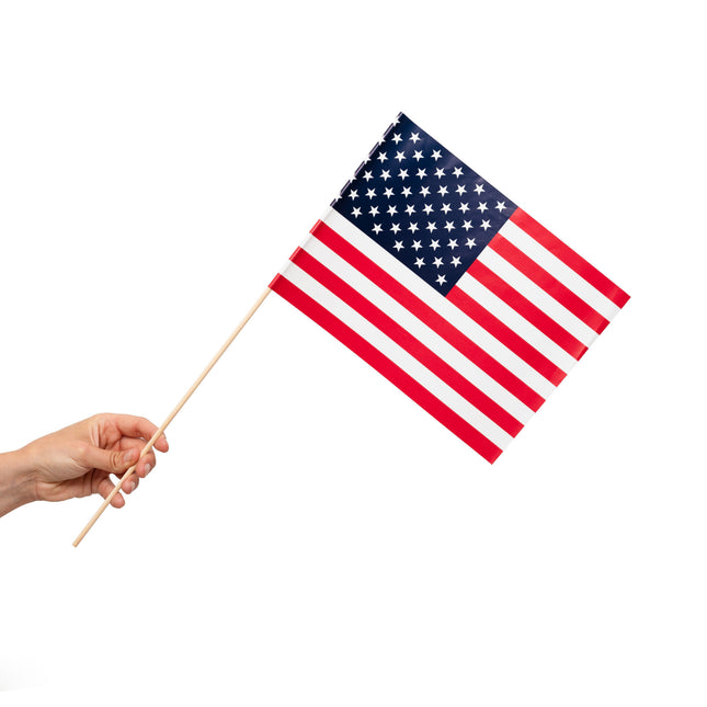 Bandiera dell'America 10 pezzi