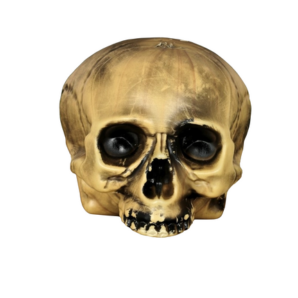 Mezzo teschio di Halloween da 20 cm