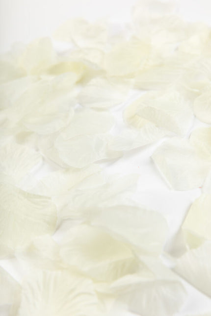 Petali di rosa beige 500pz
