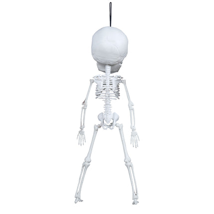 Decorazione appesa di Halloween Scheletro 40 cm