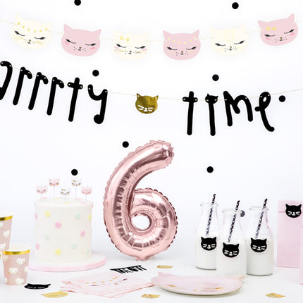 Piatti Gatto 22cm 6pz