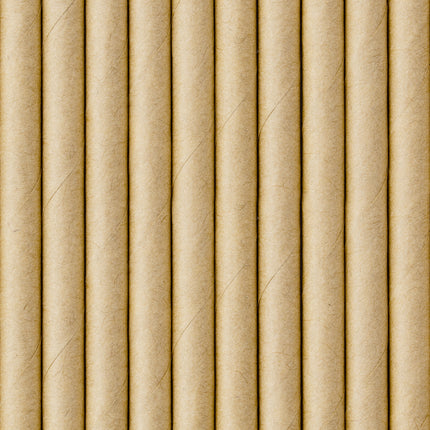Cannucce di carta in cartone 19,5 cm 10 pezzi