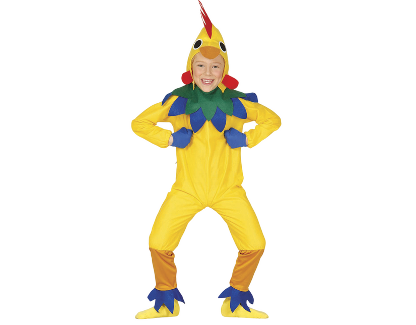 Costume da pollo per bambino