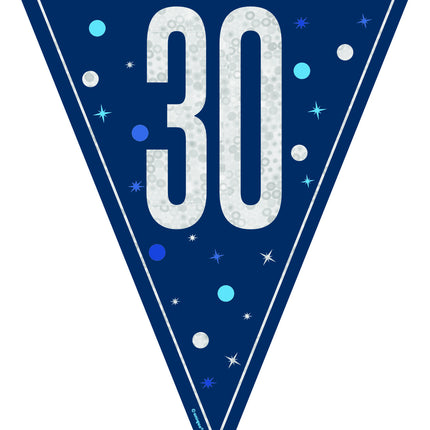 30 anni Ghirlanda blu 2,5 m