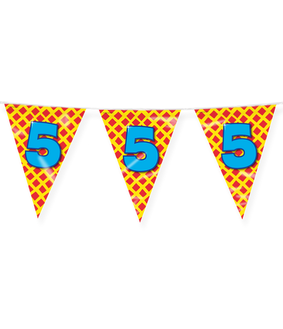 Bandiera 5 anni colorata 10m