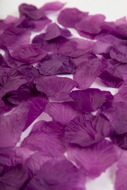 Petali di rosa viola 144 pezzi