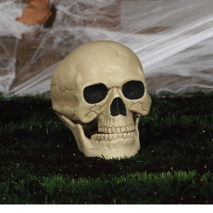 Teschio di Halloween 20 cm