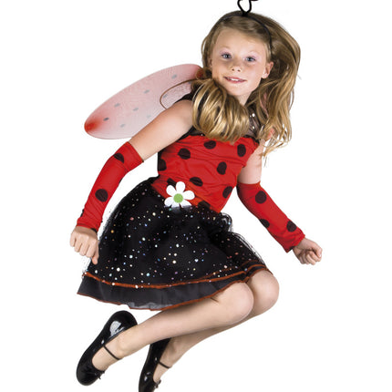 Costume da coccinella per bambino