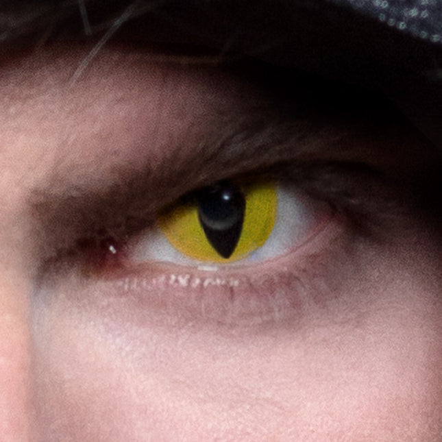 Lenti colorate Creep Yellow Cat's Eye