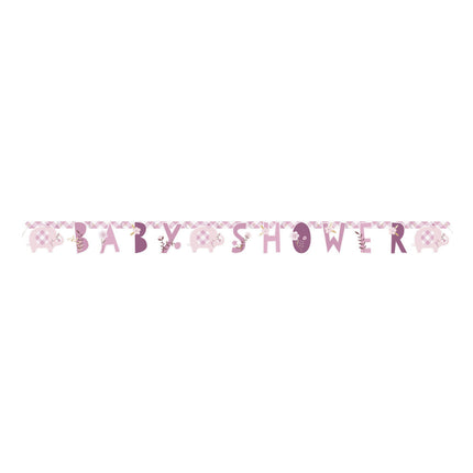 Ghirlanda di lettere di nascita Baby Shower Rosa 1,65m