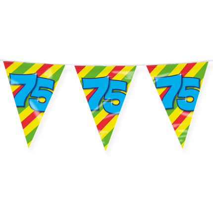 Bandiera 75 anni colorata 10m