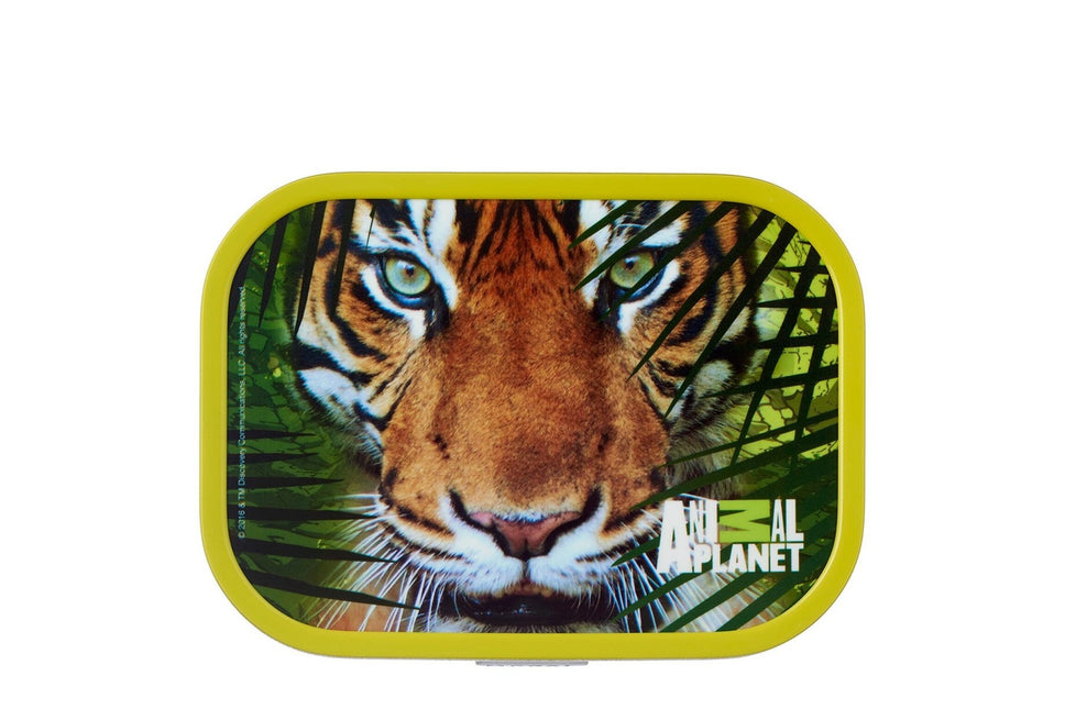 Lunchbox Campus Animal Planet Tiger