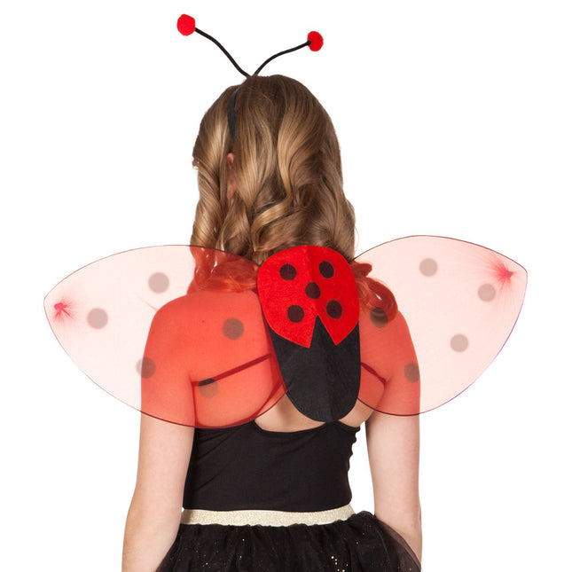 Ali di coccinella 2 pezzi