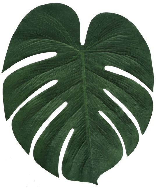Decorazione Hawaii Foglia di palma 34 cm 4 pezzi