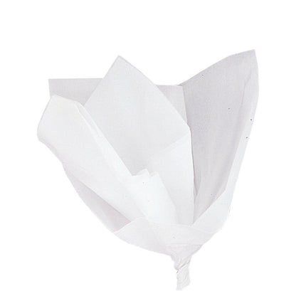 Carta assorbente bianca 31cm 10pz