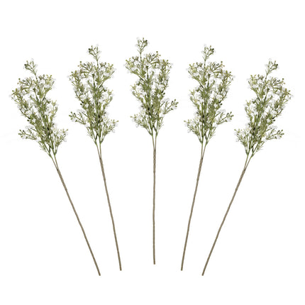 Fiori secchi Gypsophilia Steli 40cm 5pz