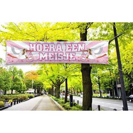 Geboortevlag Meisje XL 1,8m van Folat koop je bij Partywinkel