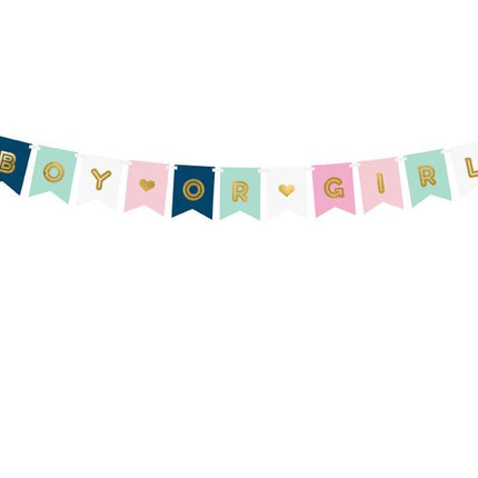 Gender Reveal Banner 1,75m van Partydeco koop je bij Partywinkel