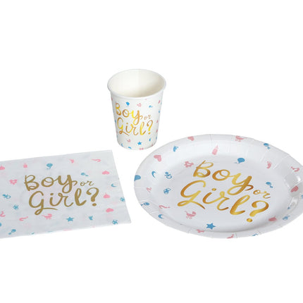 Gender Reveal Borden Boy Or Girl 23cm 6st van Fiestas Guirca koop je bij Partywinkel