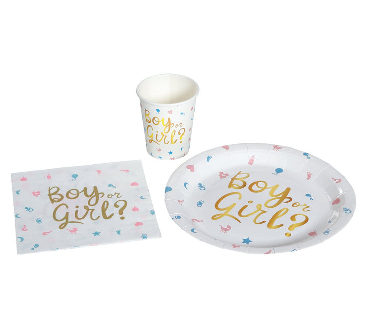 Gender Reveal Borden Boy Or Girl 23cm 6st van Fiestas Guirca koop je bij Partywinkel