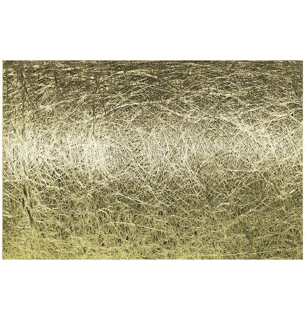 Nastro d'oro Romance 10m