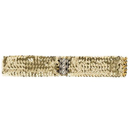 Gouden Riem Pailletten van Widmann koop je bij Partywinkel