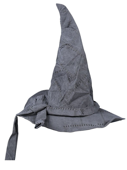 Grijze Hoed Tovenaar Kind van Fiestas Guirca koop je bij Partywinkel