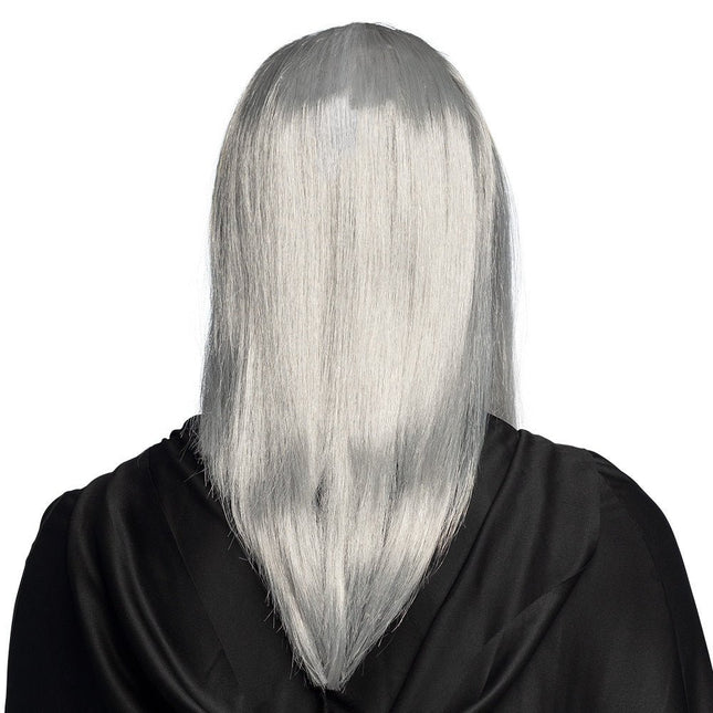 Grijze Pruik Tovenaar van Boland koop je bij Partywinkel