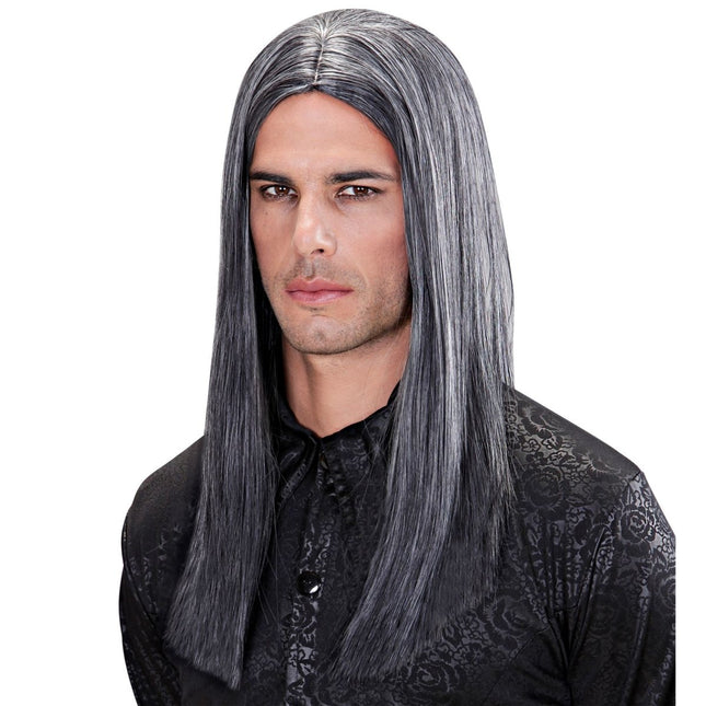 Grijze Pruik Victor van Widmann koop je bij Partywinkel