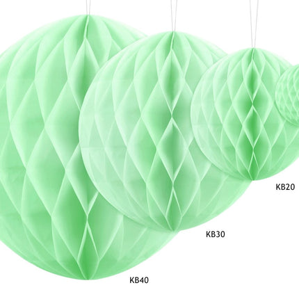 Groene Honeycomb 20cm van Partydeco koop je bij Partywinkel