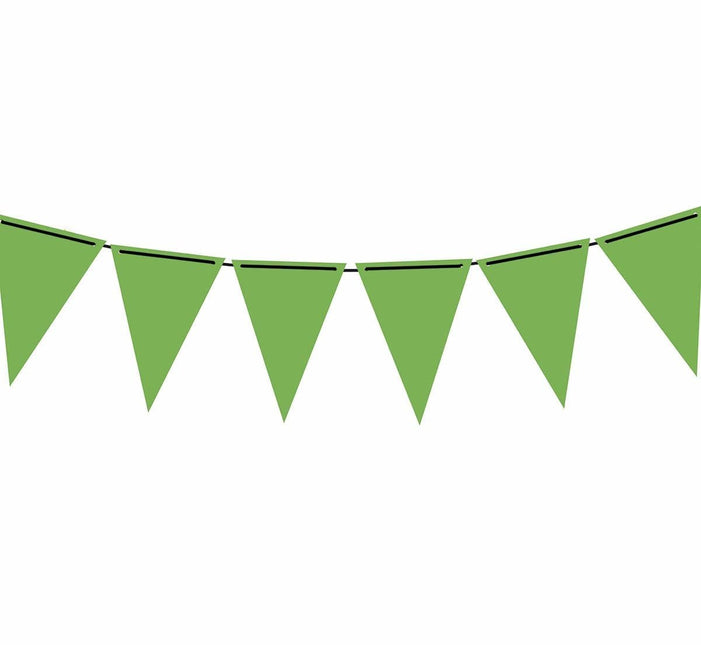 Groene Slinger Papier 3m van Fiestas Guirca koop je bij Partywinkel