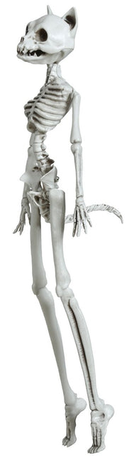 Halloween Hangdecoratie Kat 37cm - Partywinkel - 8434077248928