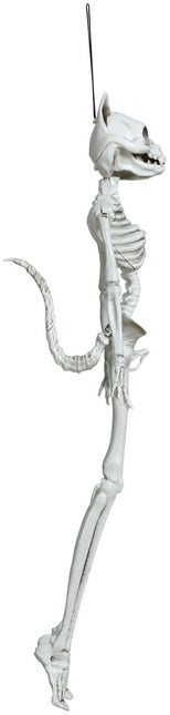 Halloween Hangdecoratie Kat 37cm - Partywinkel - 8434077248928