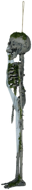 Halloween Hangdecoratie Skelet Met Mos 40cm van Fiestas Guirca koop je bij Partywinkel