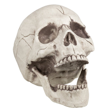 Halloween Schedel Beweegbare Kaak 21cm van Boland koop je bij Partywinkel