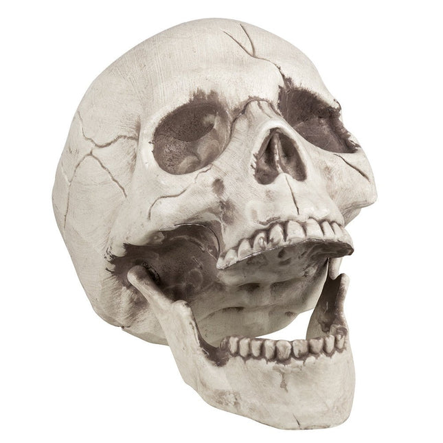 Halloween Schedel Beweegbare Kaak 21cm van Boland koop je bij Partywinkel