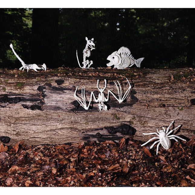 Halloween Schorpioenenskelet 31cm van Boland koop je bij Partywinkel