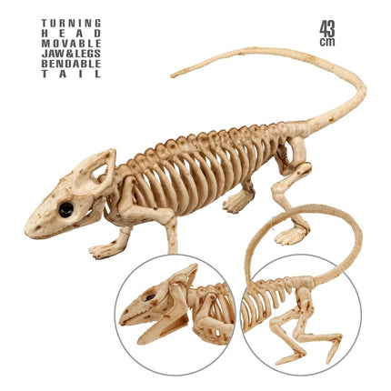 Halloween Skelet Leguaan 43cm van Widmann koop je bij Partywinkel