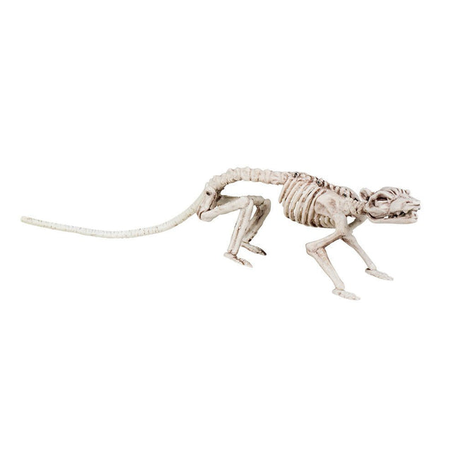 Halloween Skelet Rat 35cm van Boland koop je bij Partywinkel