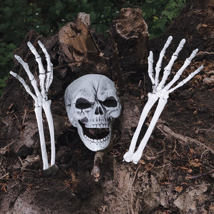 Halloween Skelet Schedel En Armen van Boland koop je bij Partywinkel
