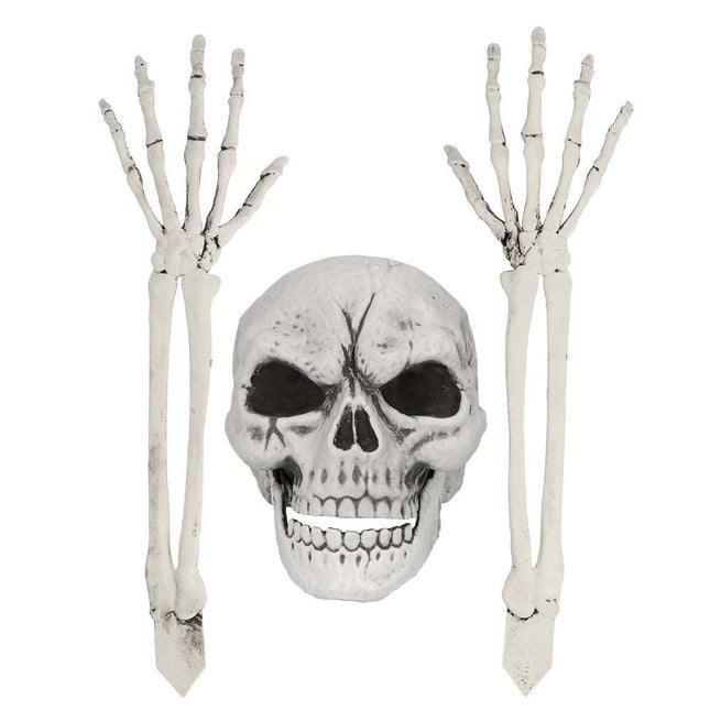 Halloween Skelet Schedel En Armen van Boland koop je bij Partywinkel