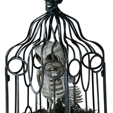 Halloween Skelet Uil In Kooi Met Licht, Geluid En Beweging van Fiestas Guirca koop je bij Partywinkel