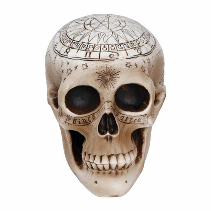 Halloween Tafeldecoratie Schedel 20cm van Fiestas Guirca koop je bij Partywinkel