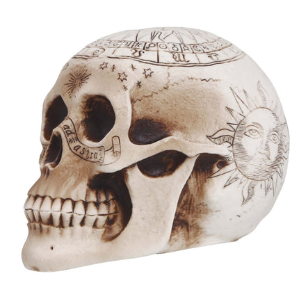 Halloween Tafeldecoratie Schedel 20cm van Fiestas Guirca koop je bij Partywinkel